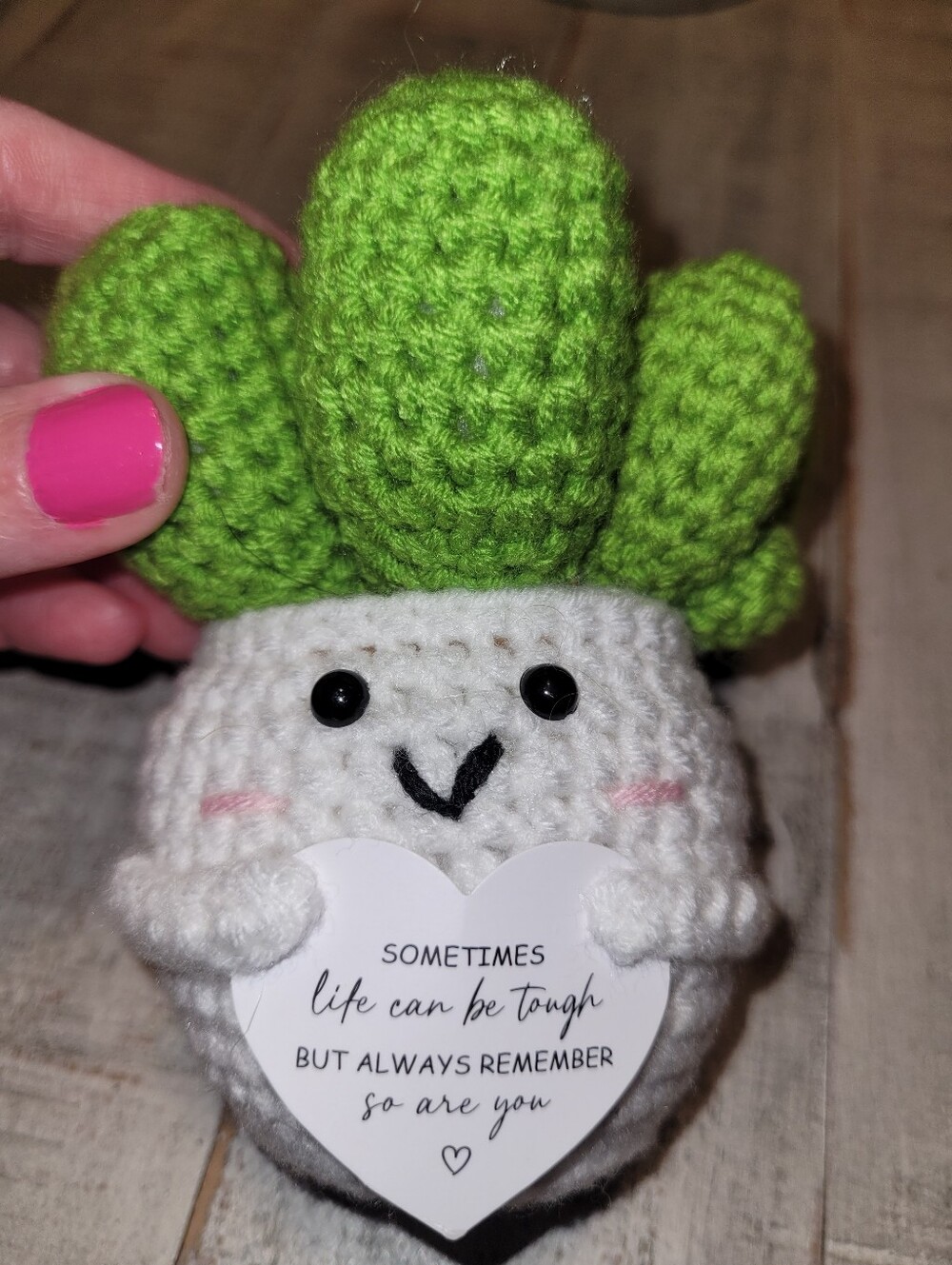 New Handmade Crocheted Cactus